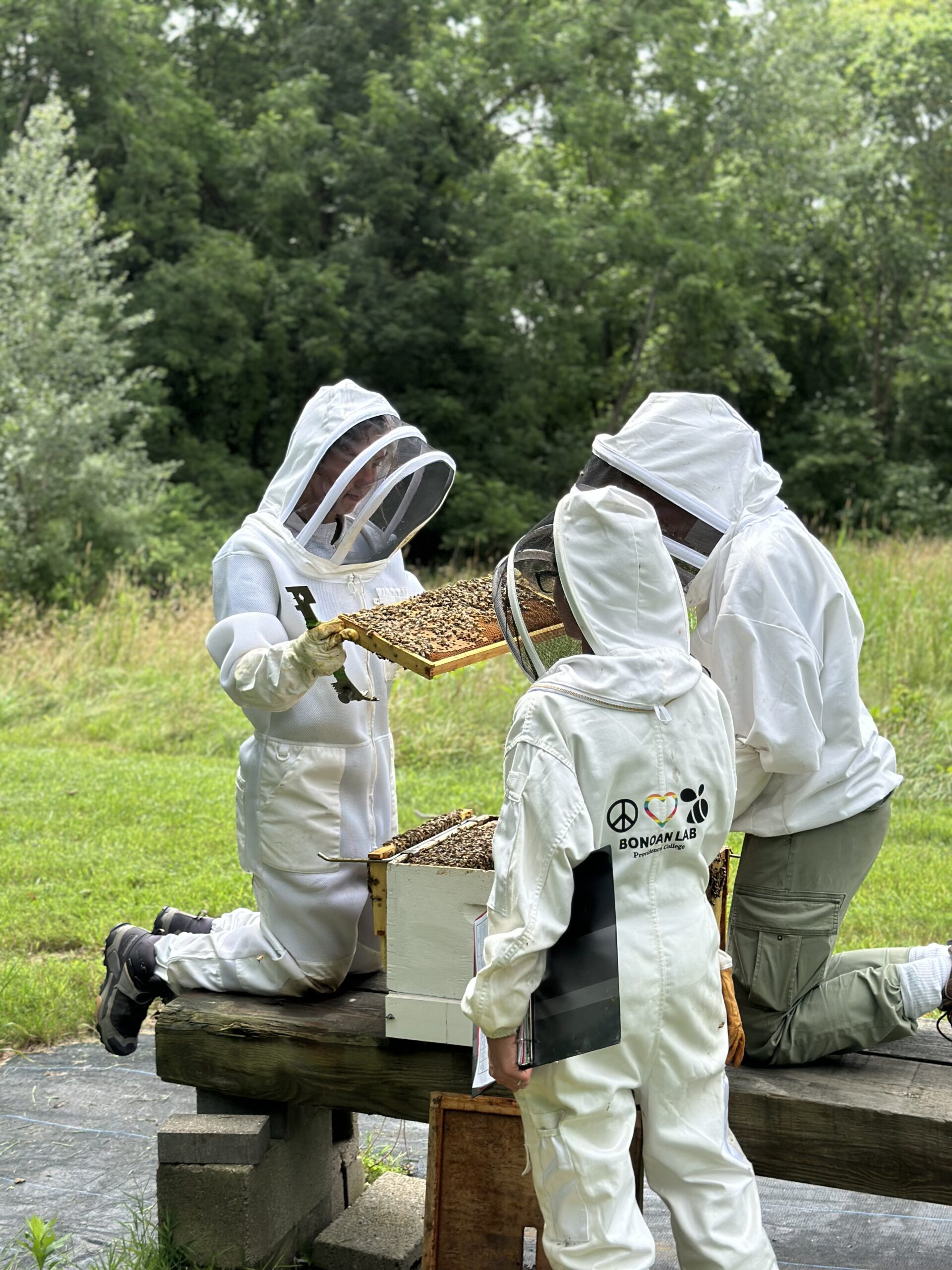 Ri State Insect Rhode Island Plant Insect Community Network